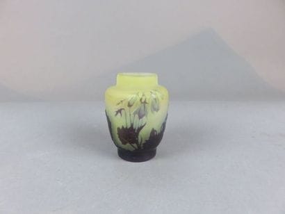 Emile GALLÉ Petit vase en verre à décor dégagé...