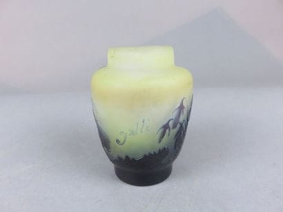 Emile GALLÉ Petit vase en verre à décor dégagé...