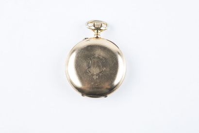 Pocket watch with gilded metal date, white...