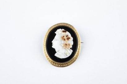 Broche camée coquillage collée sur une plaque...