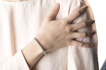 Bracelet in white gold mesh mesh flat ear,...