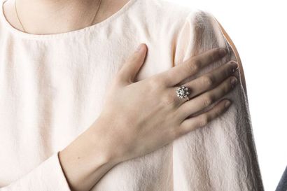 Ring in white gold and platinum, daisy shape...