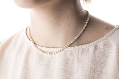 Necklace made of falling cultured pearls...