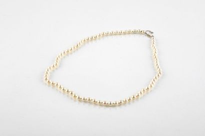 Chocker necklace made of seventy-seven cultured...