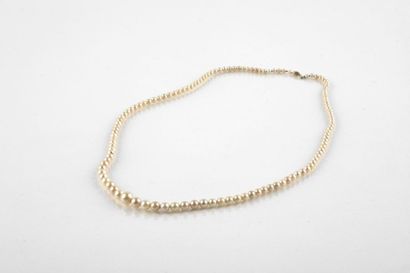 Necklace of pearls probably thin diameter...