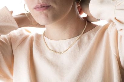 Necklace of pearls probably thin diameter...