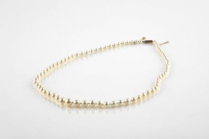 Necklace in fall of 74 cultured pearls (diam....