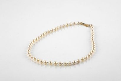 Necklace made of 55 cultured pearls and a...