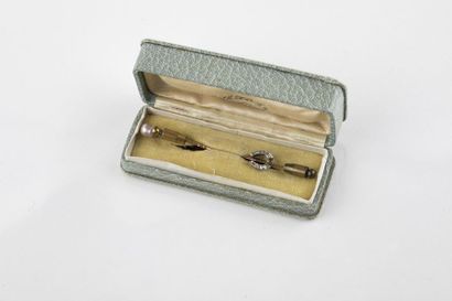 Set including two yellow gold pins, one representing...