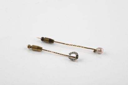 Set including two yellow gold pins, one representing...