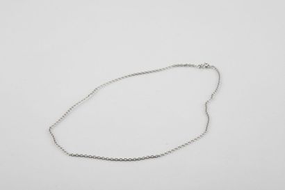 Chain in white gold with round convict mesh....