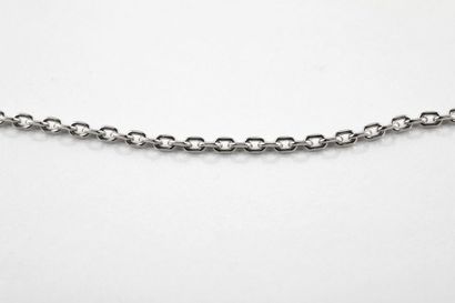 Chain in white gold with round convict mesh....