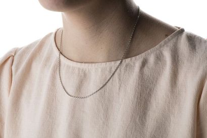 Chain in white gold with round convict mesh....