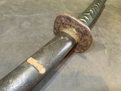 JAPAN Shinto katana, shinogi zukuri, hamon...