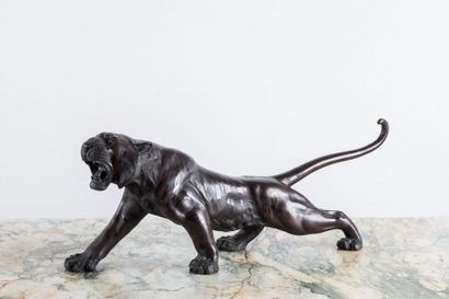 JAPON Tiger in bronze with matt and shiny...