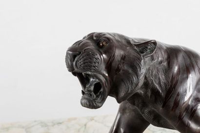 JAPON Tiger in bronze with matt and shiny...
