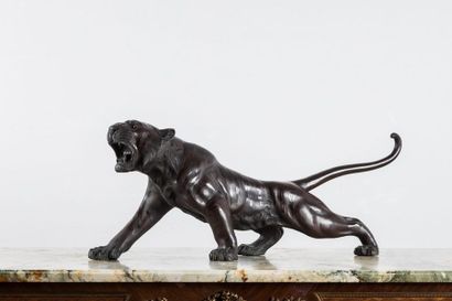 JAPON Tiger in bronze with matt and shiny...