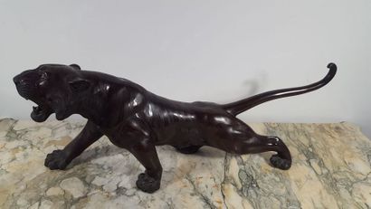 JAPON Tiger in bronze with matt and shiny...
