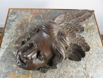 Cherub's head in carved oak with patina -...