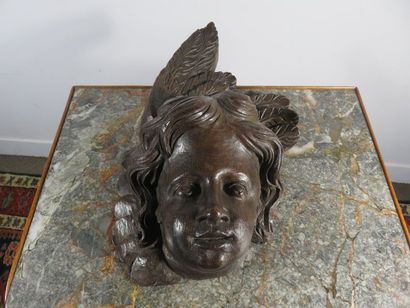 Cherub's head in carved oak with patina -...