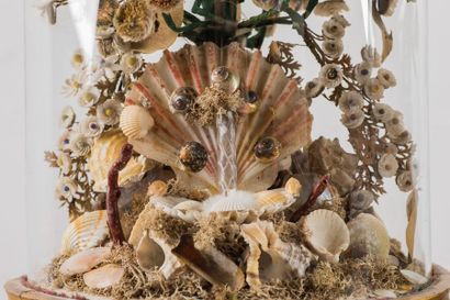 Pair of large natural and painted shell compositions...