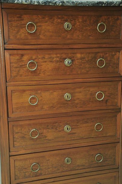 Mahogany and speckled mahogany veneer six-drawer...