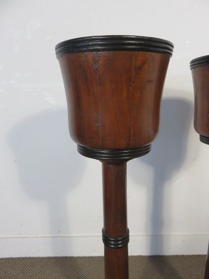 Pair of mahogany buckets on stand, blackened...