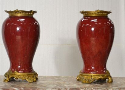 Paire de vases pansus en porcelaine « sang...