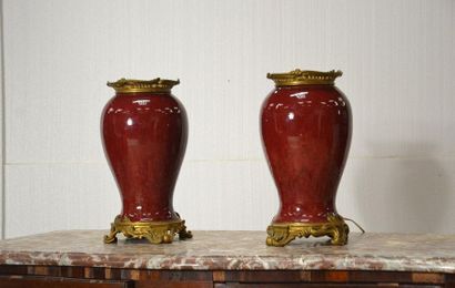 Paire de vases pansus en porcelaine « sang...
