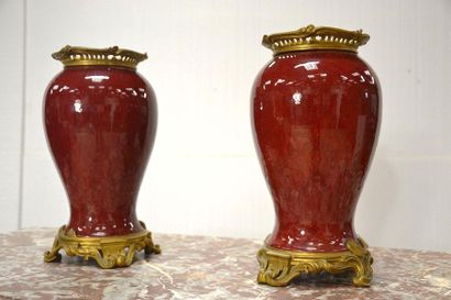 Paire de vases pansus en porcelaine « sang...