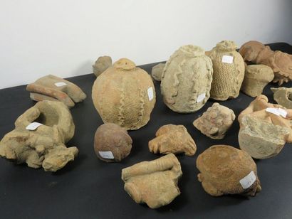 TEN SEVEN FRAGMENTARY COOKED LANDS: animals,...