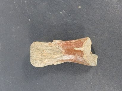 FEMALE STATUS, legs are missing. Terracotta....
