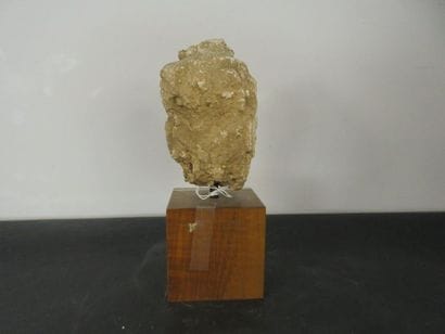 BODDISATVA'S HEAD. Stucco. Hair wrapped with...