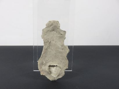 TORSE de statuettes. Terre cuite. Mexique...