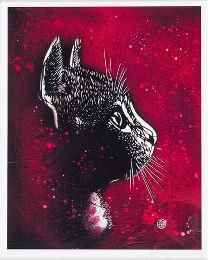 C215 Felix (Fushia), 2019. Silkscreen signed...