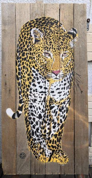 MOSKO Leopard face, 2016. Spray on palisade....