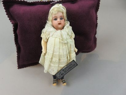 Mignonette marcheuse

15 cm