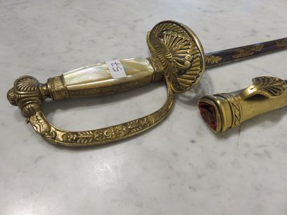 Epée de membre de l’institut. Fusée à plaquettes...