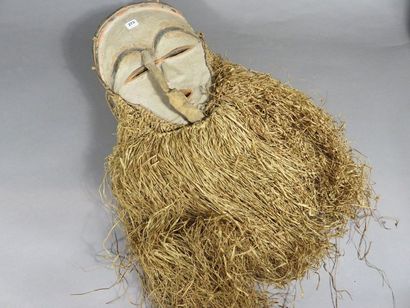 Masque facial de forme ovale. Les yeux et...