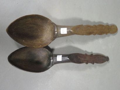 Lot de deux cuillères. Les cuillerons sont...