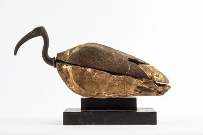 Sarcophage d’ibis dont le corps est en bois...