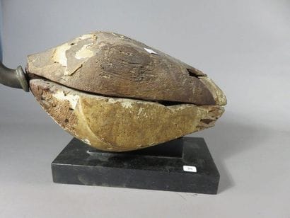 Sarcophage d’ibis dont le corps est en bois...