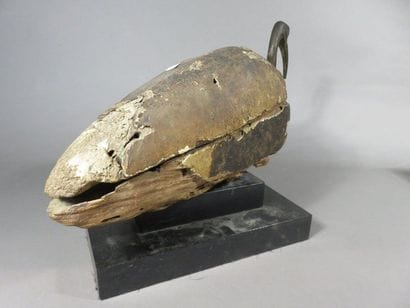 Sarcophage d’ibis dont le corps est en bois...