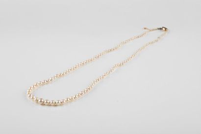 Collier composé de 129 perles de culture....
