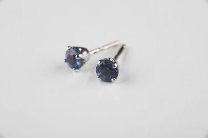 Paire de boucles d’oreilles puce en or gris...