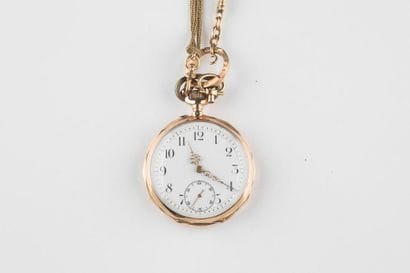 Montre de poche en or N° 21059, travail de...