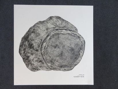 Jean- Luc PARANT - Boule-MMCLXTERETYTXEUE,...