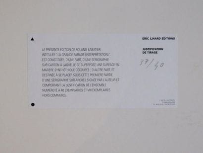 Roland SABATIER - Infinitesimal interpretation...