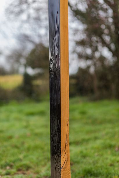 Antoine MINGUY 

Totem, 2009 

Châtaignier...