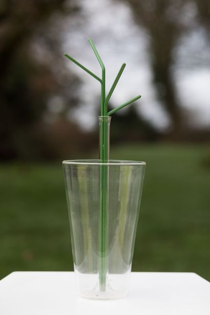 Matali CRASSET

Transplant vert 02, 2006.

Vase...